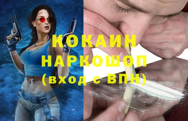 СК Волоколамск