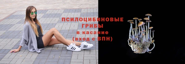 СК Волоколамск