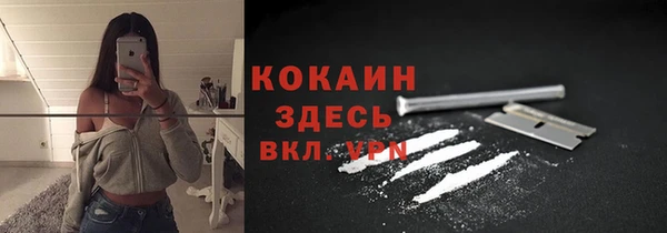 СК Волоколамск