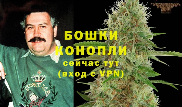 СК Волоколамск
