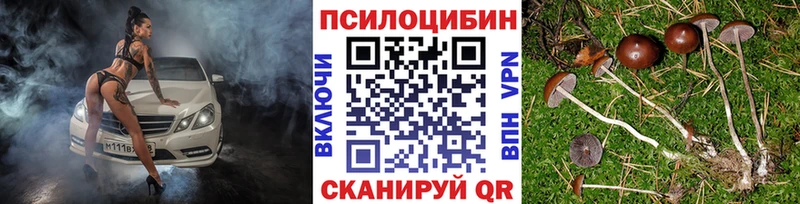 Галлюциногенные грибы мухоморы  купить наркоту  Нелидово 